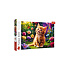 S.CENA Puzzle - _500_ - Uroczy kotek_FSCMix70 #37;
