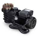 Lebula pompa do basenu cyrkulacyjna z filtrem wstępnym 400w 10000l/h do bestway intex