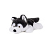 Pes husky ležící plyš 30cm 0m+