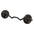 Iron Gym - Adjustable Curl Bar Set 23 kg