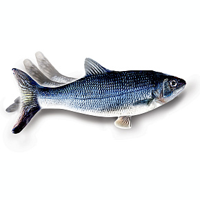 Flippity Fish – hračka pro kočky