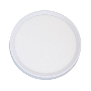 LED stropní svítidlo L245027 LED svítidlo průměr 300mm, 24W, CCT, 2500 LED stropní svítidlo L245027 LED svítidlo průměr 300mm, 24W, CCT, 2500