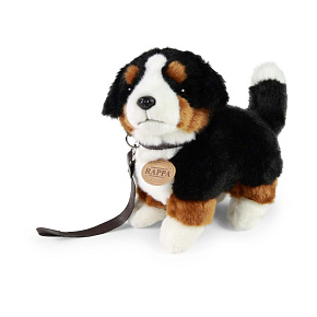 Plyšový pes bernský salašnický s vodítkem 22 cm ECO-FRIENDLY