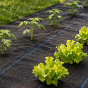 Černá agrotextilie UV 150g protiplevelová rohož 1,6x20m kolíky MulltiGarden