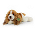 Plyšový pes King Charles španěl 30 cm ECO-FRIENDLY