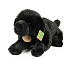 Plyšový pes labrador 40 cm ECO-FRIENDLY