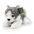 Plyšový pes husky 21 cm ECO-FRIENDLY
