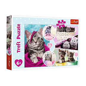 S.CENA Puzzle -  quot;160 quot; - Urocze kotki