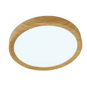 LED stropní svítidlo L245041 LED svítidlo průměr 300mm, 24W, CCT, 2500 LED stropní svítidlo L245041 LED svítidlo průměr 300mm, 24W, CCT, 2500