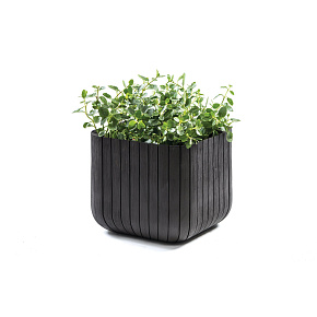 Cube květináč M