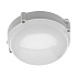 GTV Venkovní svítidlo LD-KALU10OK-40 Svítidlo přisazené LUXIA-OK LED, 10W,