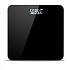 Herzberg HG-04272:  Rechargeable Body Weighing Scale & Room Thermometer