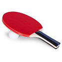 Sada na stolní tenis 2 pálky na ping-pong 3 míčky