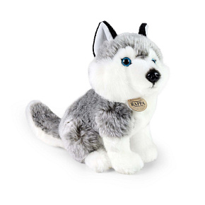 Plyšový pes husky 30 cm ECO-FRIENDLY Plyšový pes husky 30 cm ECO-FRIENDLY