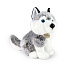 Plyšový pes husky 30 cm ECO-FRIENDLY