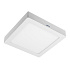 GTV LED stropní svítidlo LD-MAN19W-CBP MATIS Plus 19W přisazený, teplá bíl